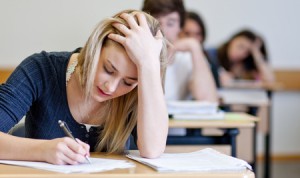 Studenin lernt